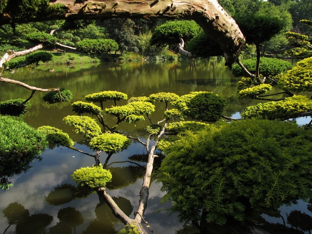Jardin Japonais de Maulévrier.JPG