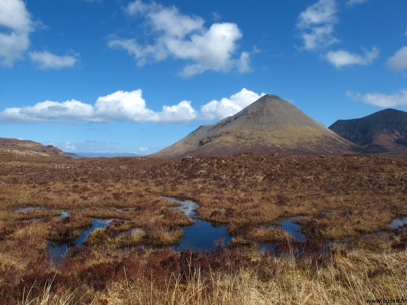 Scottish Landscape.JPG