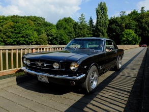 Black Mustang on the wooden Bridge