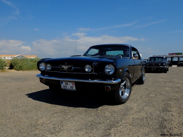 Black Mustang.jpg